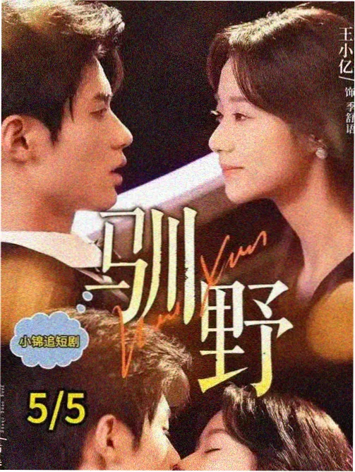 我被班主任拉黑了 小说封面